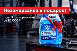 Незамерзайка в подарок при ТО или ремонте